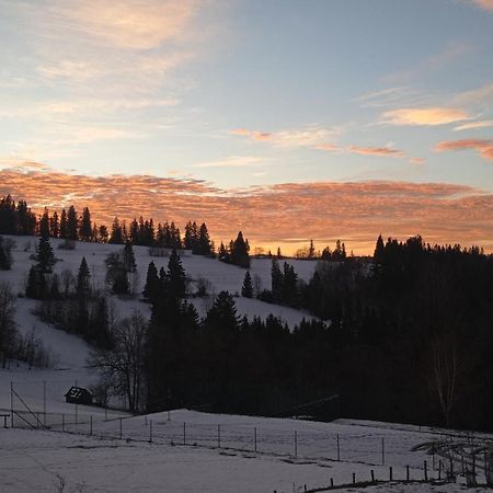 Vila Sielanka W Gorach Gliczarow Gorny Exteriér fotografie